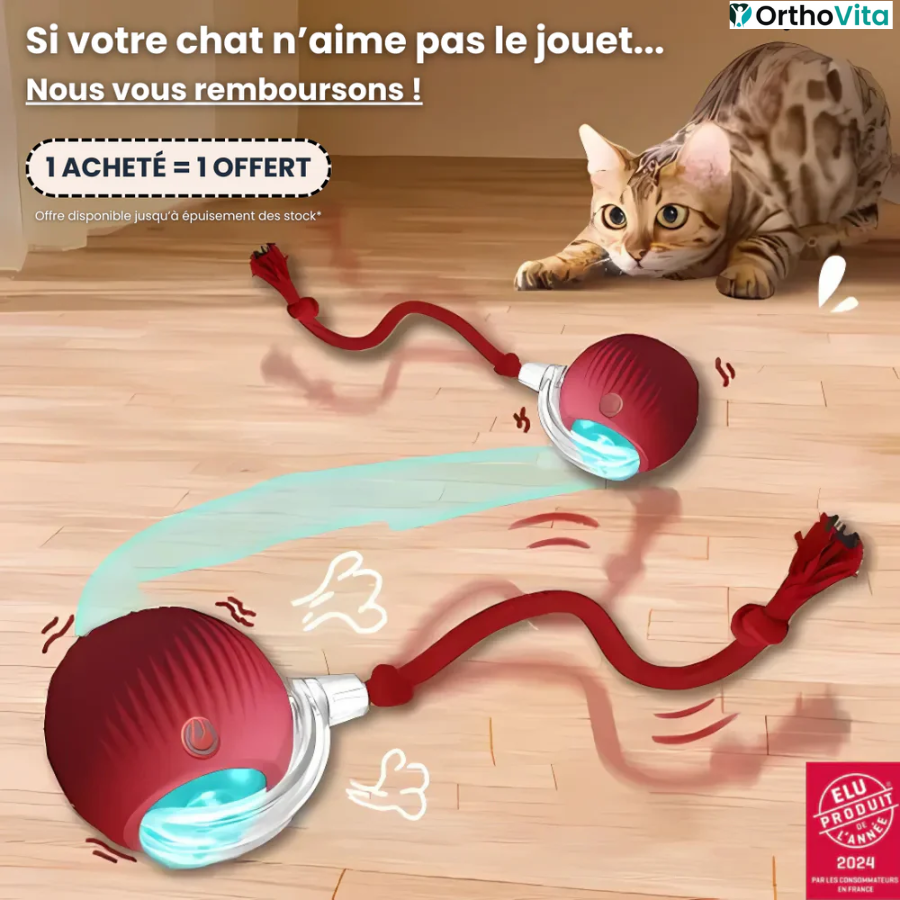 Jouet intelligent pour chat