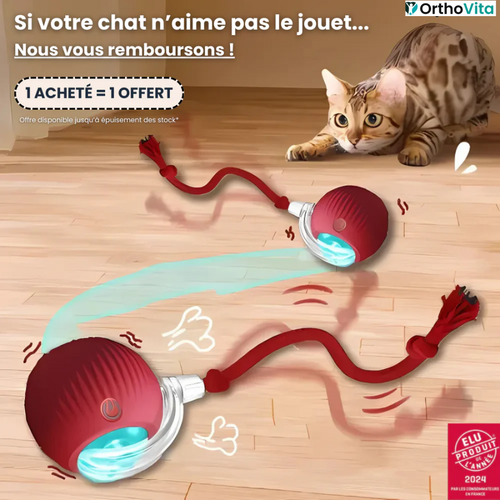 Jouet intelligent pour chat