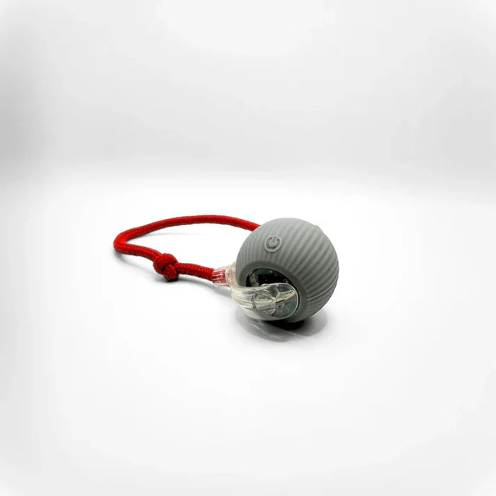 Jouet intelligent pour chat