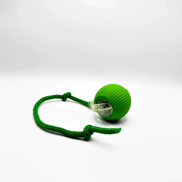 Jouet intelligent pour chat