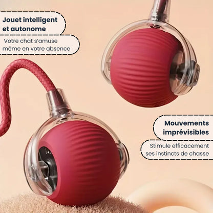 Jouet intelligent pour chat