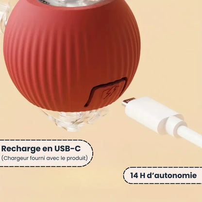 Jouet intelligent pour chat