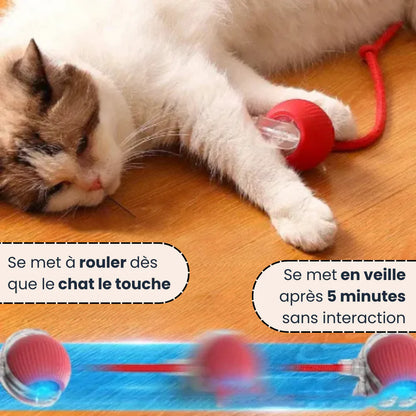 Jouet intelligent pour chat