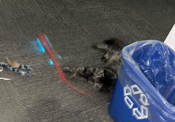 files/MsIZNvR2c_mid.jpg